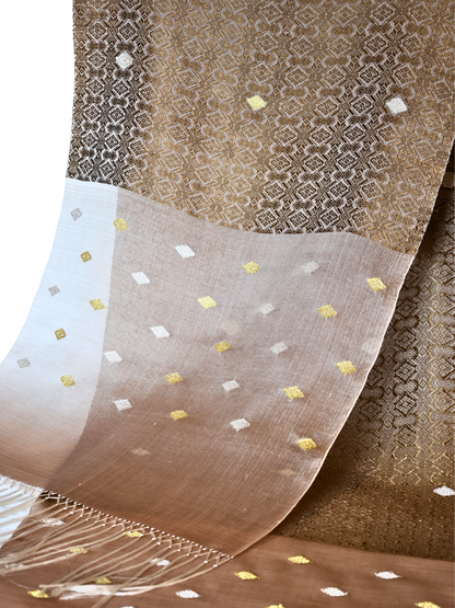 Silk Organza Scarf (Brown)