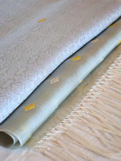 Silk Organza Scarf (Light Blue)